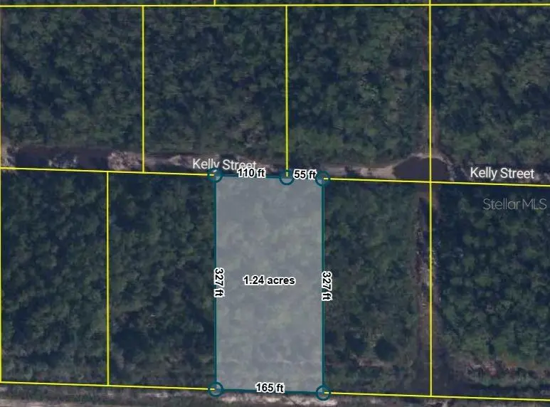 PID 21-10-28-2775-00040-0157 NO STREET, Hastings, FL 32145