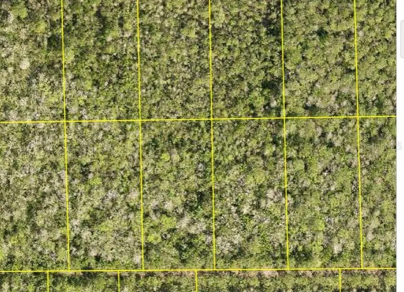 PID 710801150230 NO STREET, Deland, FL 32724