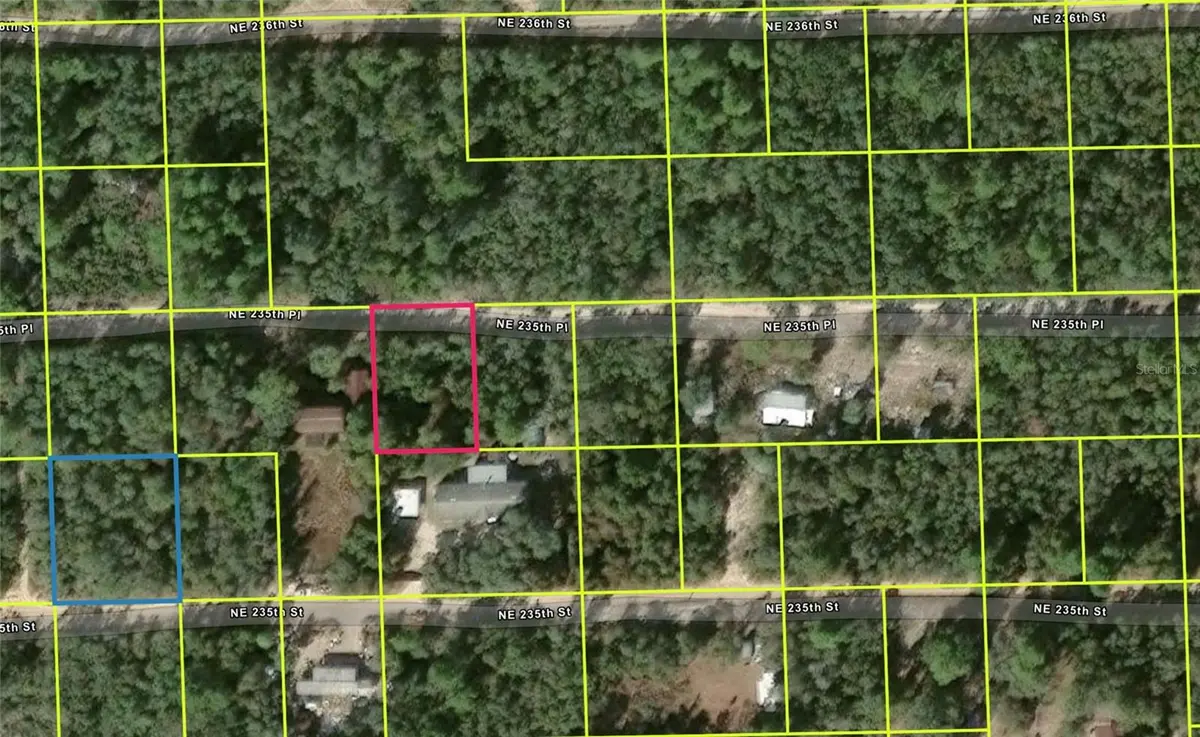 NE 235TH PL, Fort Mc Coy, FL 32134