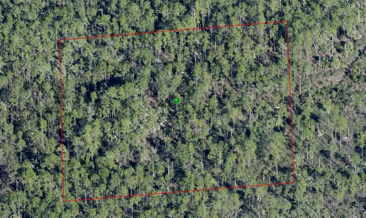 LAKE HARNEY RD, Osteen, FL 32764