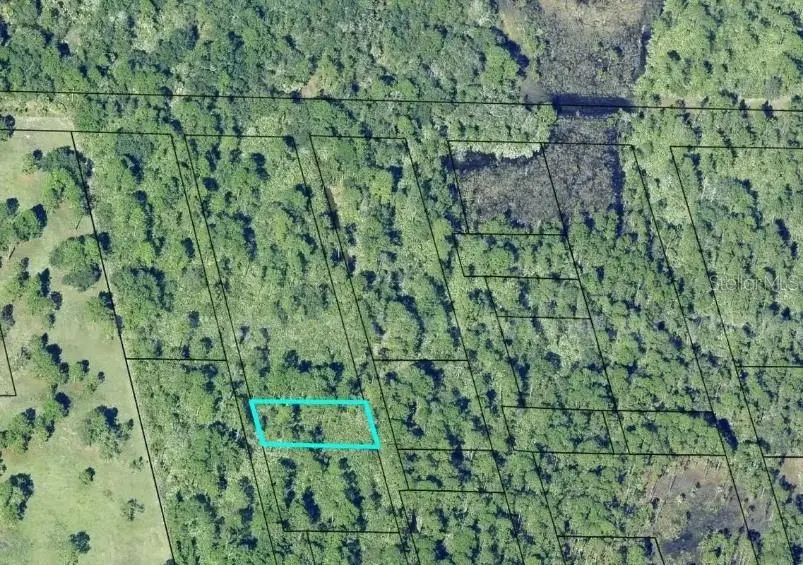 20G-34-03-AI-5-3.19, Mims, FL 32754