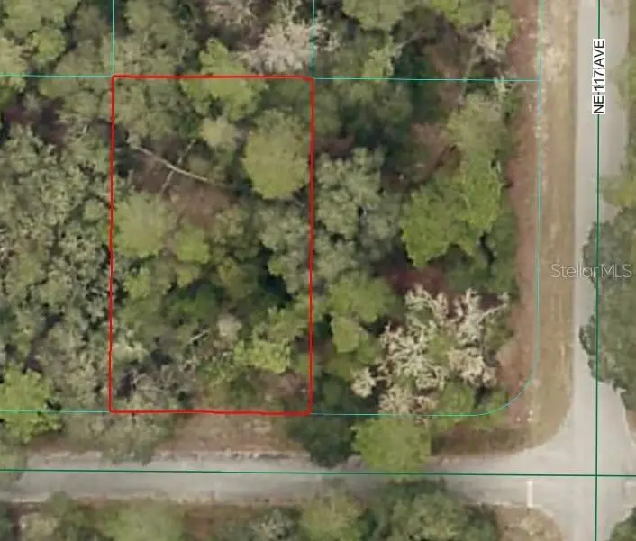 NE 239TH ST, Fort Mc Coy, FL 32134