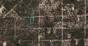 TBD NE 90TH ST, Bronson, FL 32621