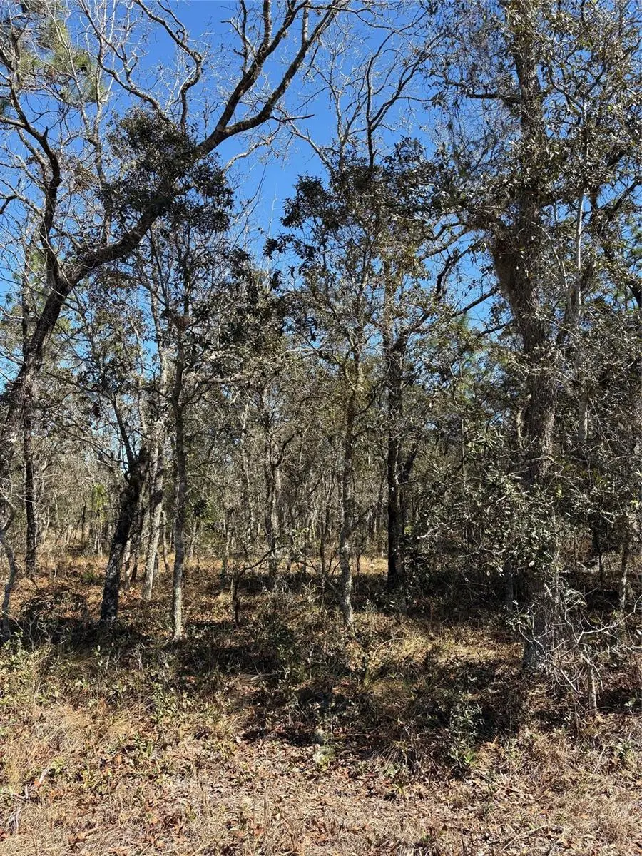 TBA SE 134TH TERRACE TER, Dunnellon, FL 34431