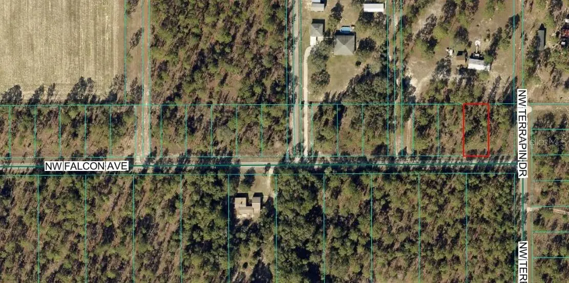 TBD NW FALCON AVE, LOT 33, Dunnellon, FL 34431