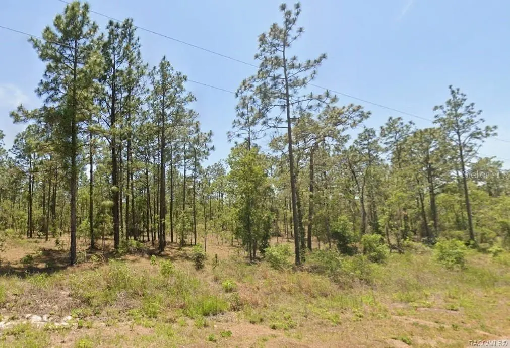 0 NW WATER OAK #5, Dunnellon, FL 34431