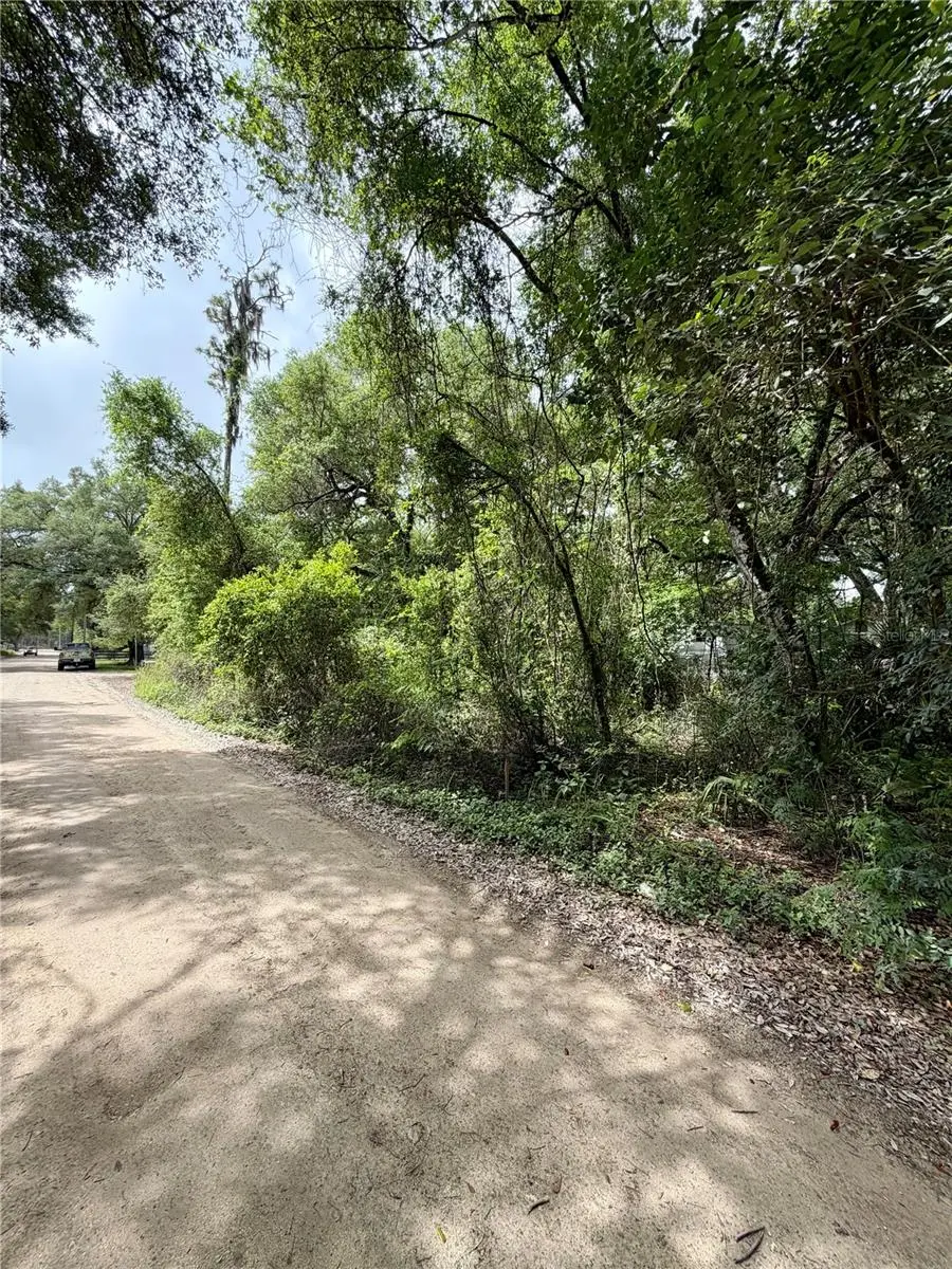 TBD NE 130 PL, Salt Springs, FL 32134