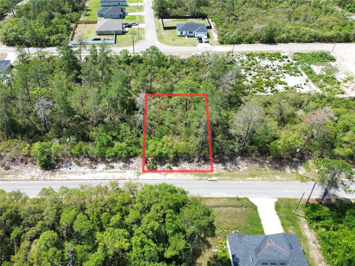 TBD FISHER PASS, Ocklawaha, FL 32179