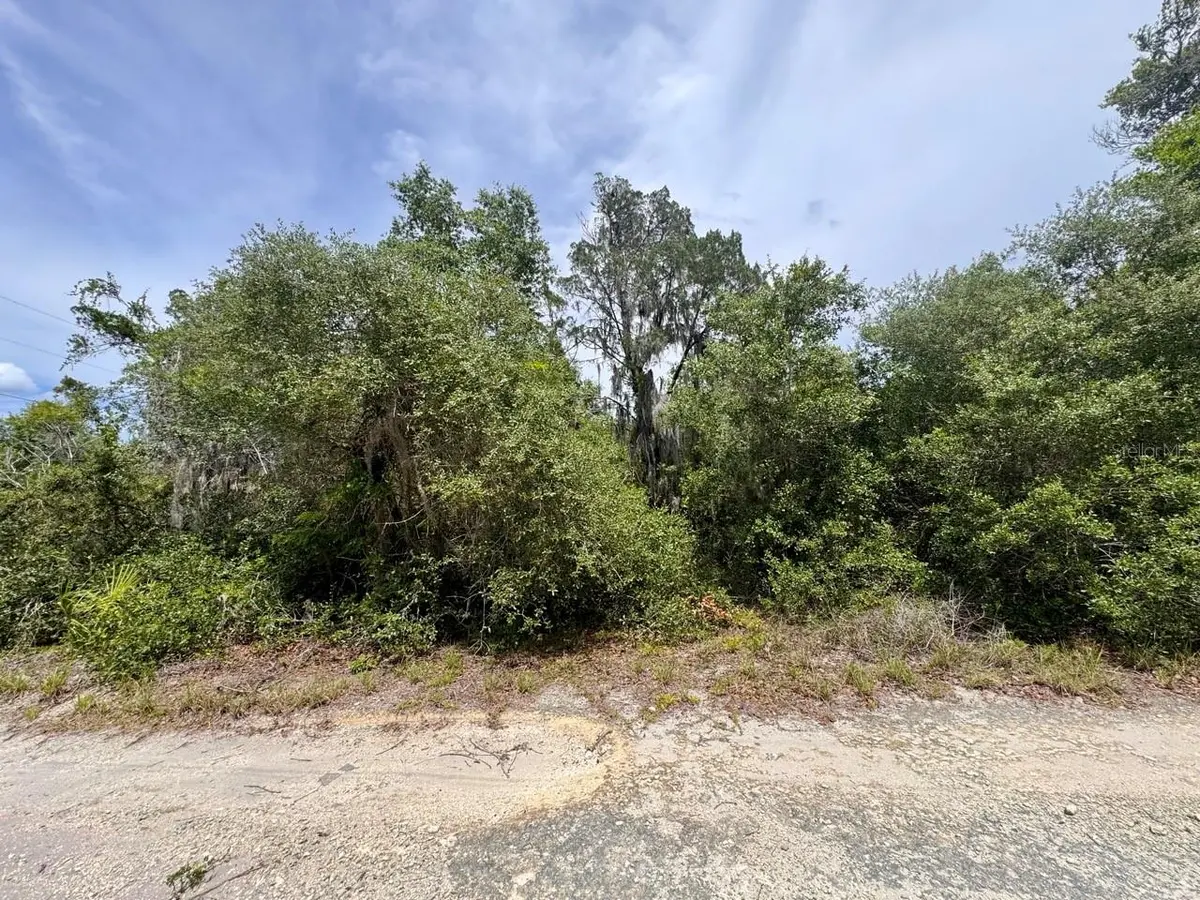 8365 NE 306TH CT, Salt Springs, FL 32134