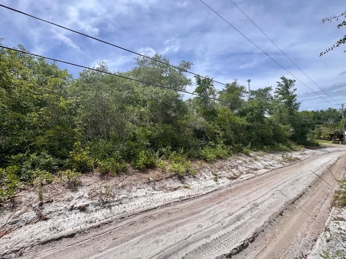 NE 306TH TER, Salt Springs, FL 32134