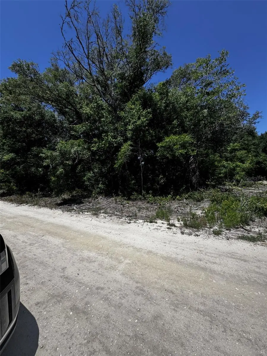 0 SW 104TH LN, Dunnellon, FL 34432