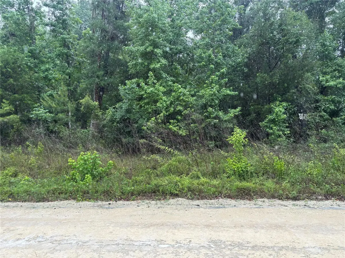 0000 SW 7TH LN, Ocala, FL 34481