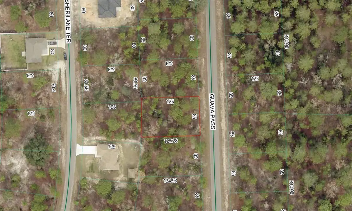 GUAVA PASS LOT 10, Ocklawaha, FL 32179