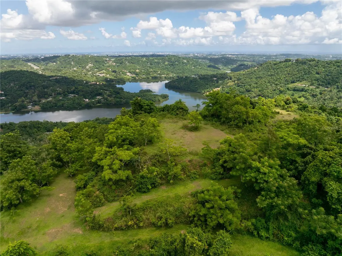 arr 942 JAGUAS, Gurabo, PR 00778