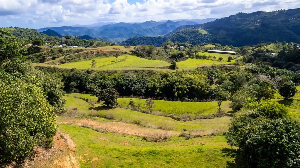 Road 152 CAMINO LAS ORQUIDEAS RD, Barranquitas, PR 00794
