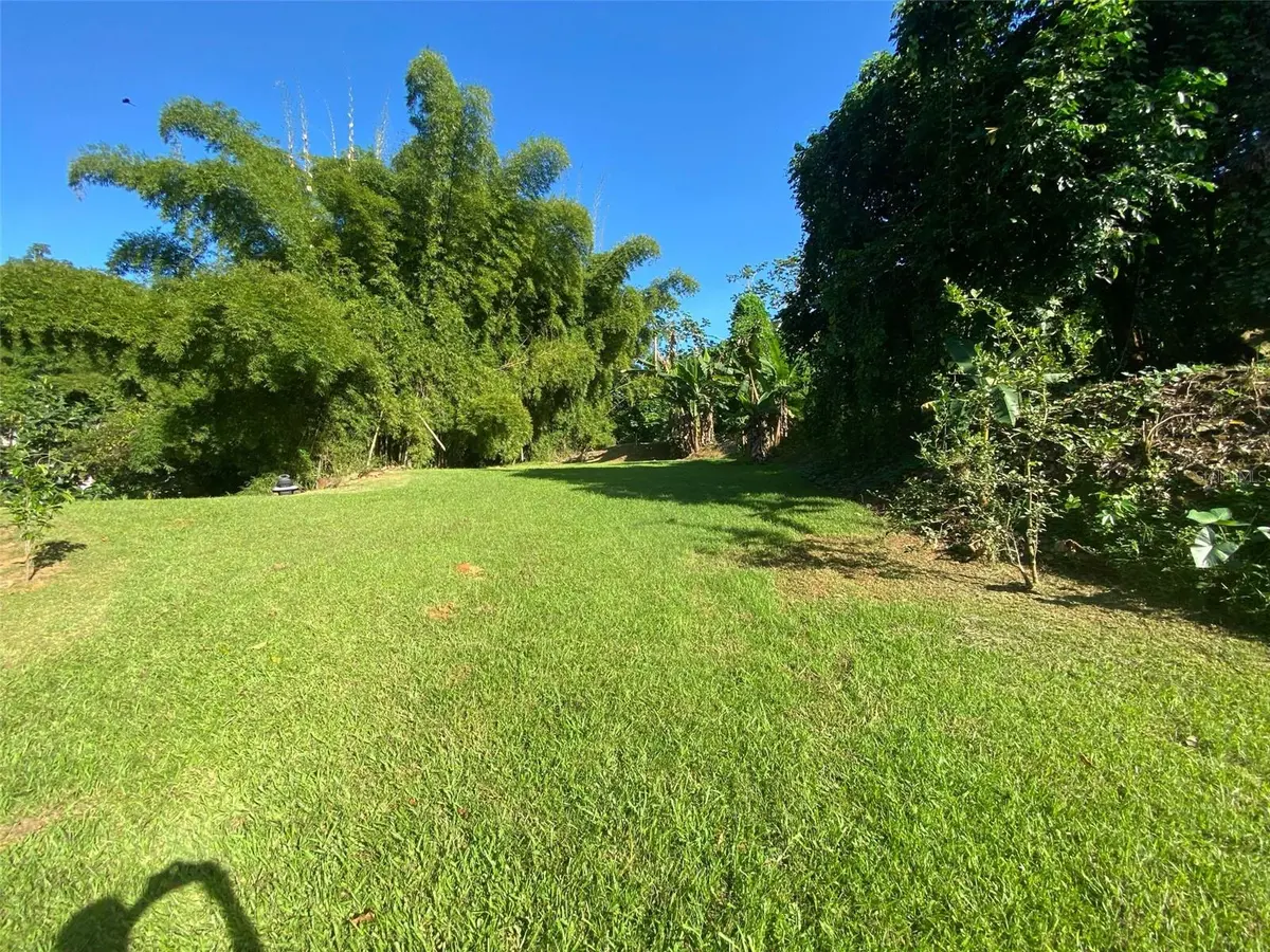 Carr. 108, Camino Adelina BO. RÍO CAÑAS, Mayaguez, PR 00680