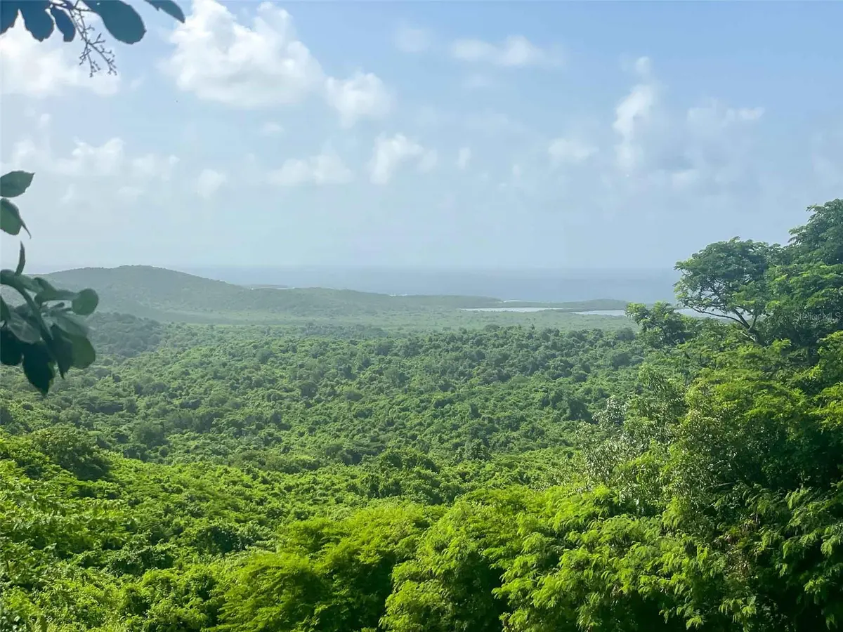 309 CALLE PAPO FOSTER, Vieques, PR 00765