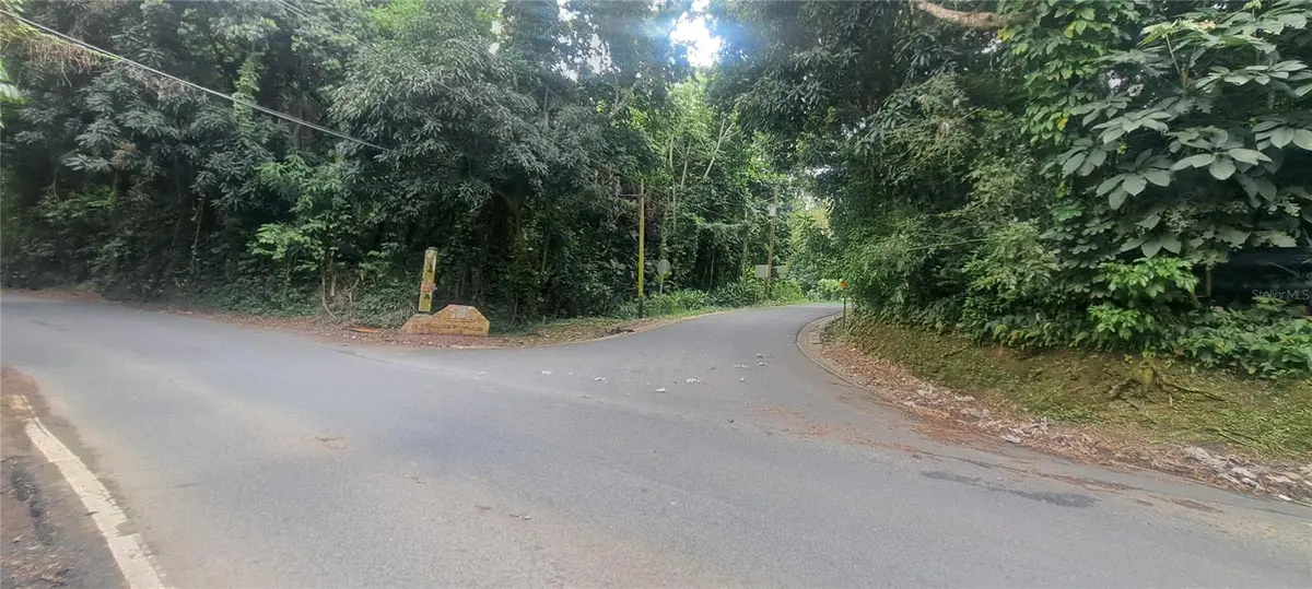 NE BARRIO MAMEYES, Rio Grande, PR 00745