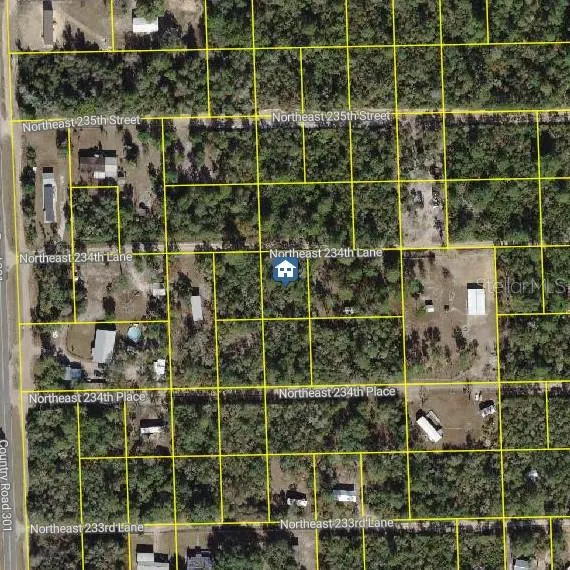 15350 NE 234TH LN, Fort Mc Coy, FL 32134