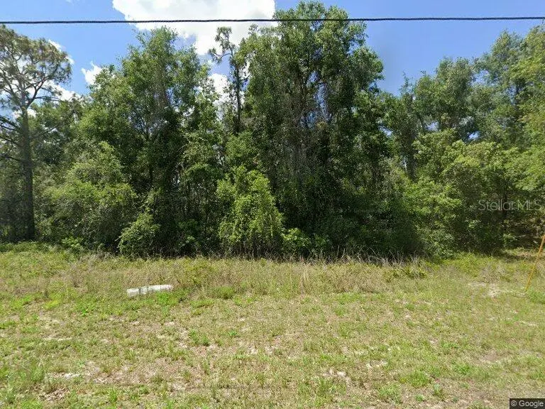 IDLE A WHILE CIR, Dade City, FL 33523