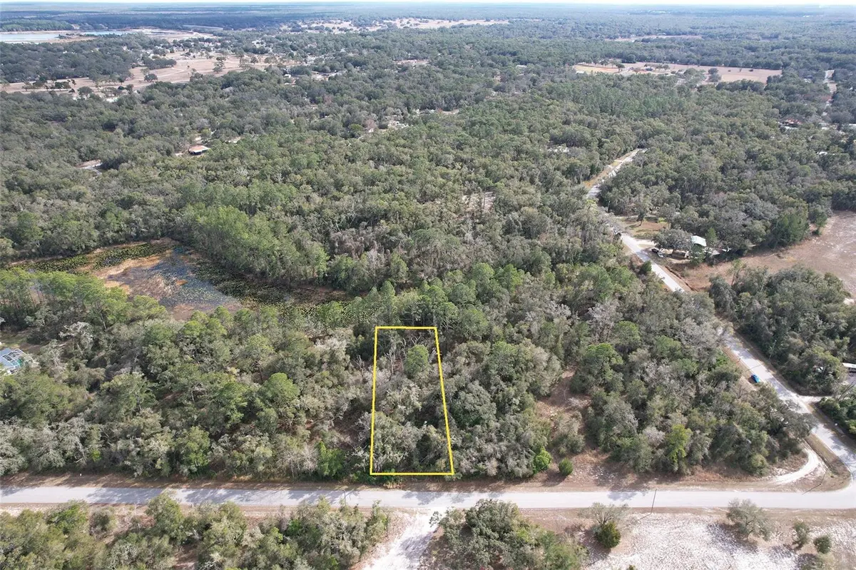 LEWIS LN, Webster, FL 33597