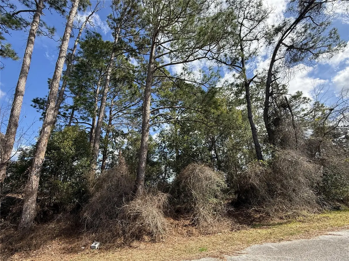 TBD SE 190TH AVENUE, Silver Springs, FL 34488