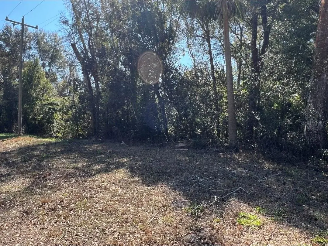 PALACKY ST, Brooksville, FL 34604