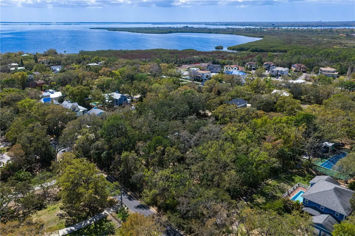 8004 BAY DR, Tampa, FL 33635