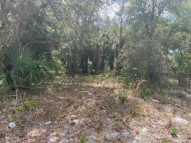 SCOTTISH TER, North Port, FL 34288