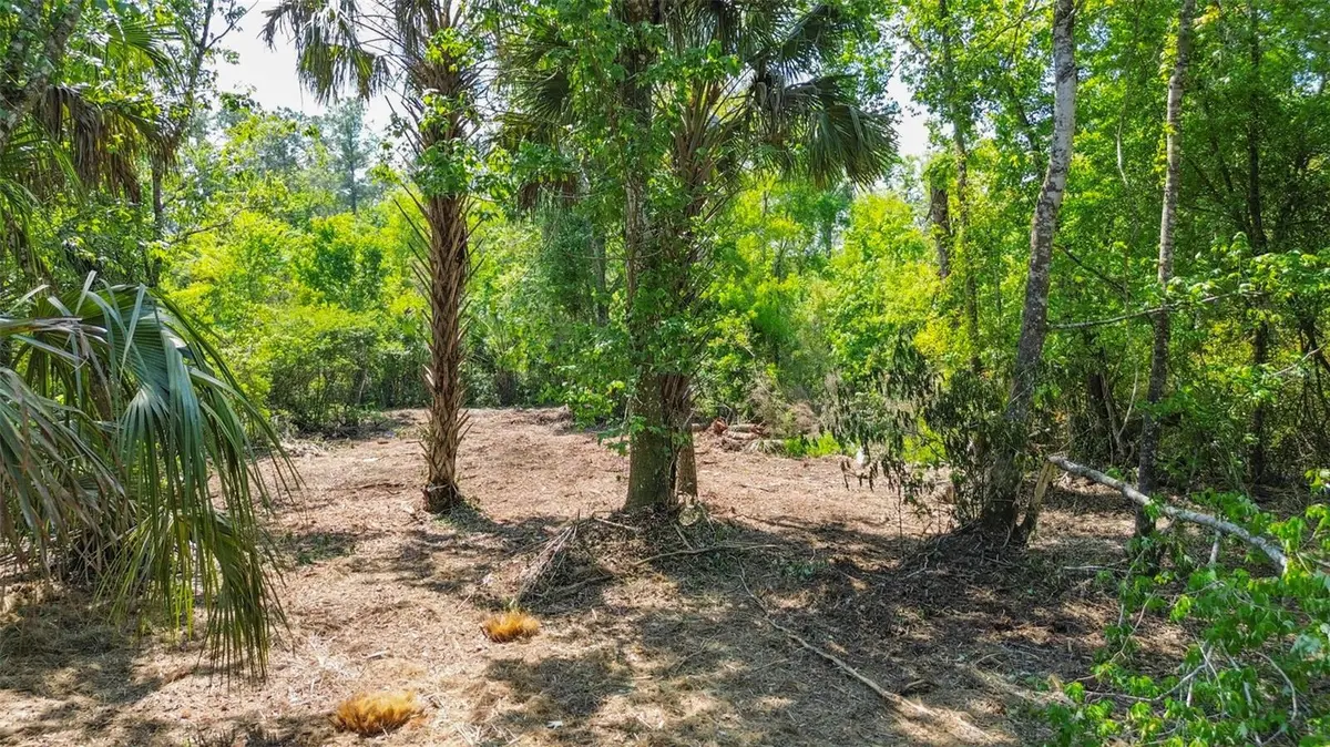 0 MUDDY WATER TRL, Thonotosassa, FL 33592