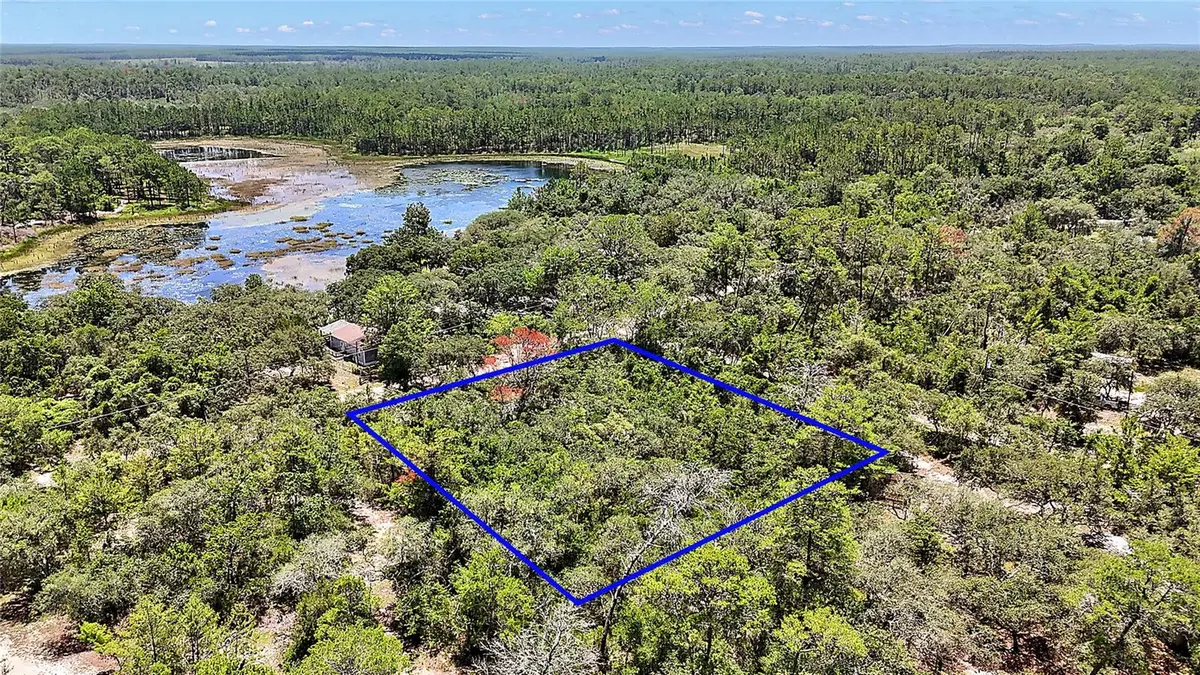 0 SE 197TH AVE, Ocklawaha, FL 32179