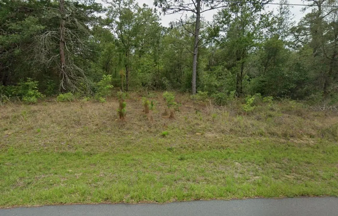 3054 W HAMLET PL, Citrus Springs, FL 34433
