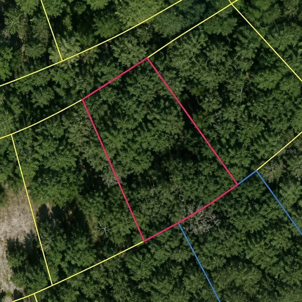 SE FISCHER LANE DR, Ocklawaha, FL 32179