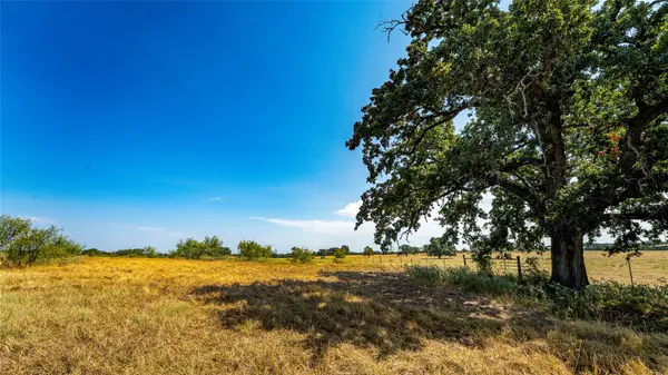 0000 CR 446, Rockdale, TX 76567