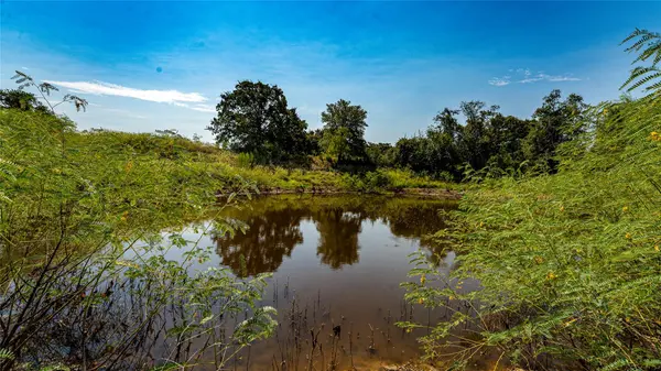 0000 CR 446, Rockdale, TX 76567