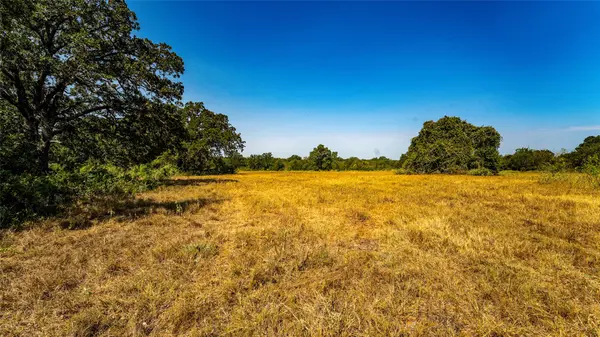 0000 CR 446, Rockdale, TX 76567