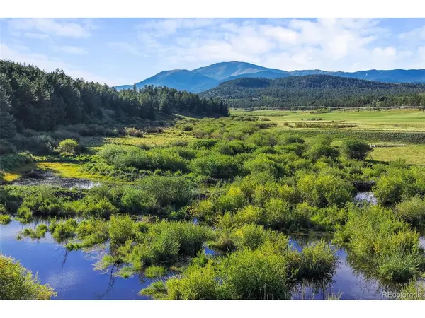 3763 County Road 43, Bailey, CO 80421