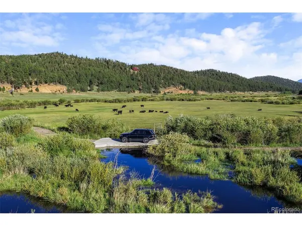 3763 County Road 43, Bailey, CO 80421