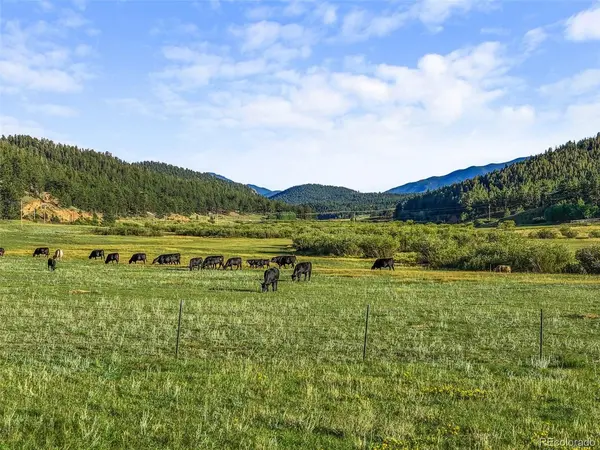 3763 County Road 43, Bailey, CO 80421