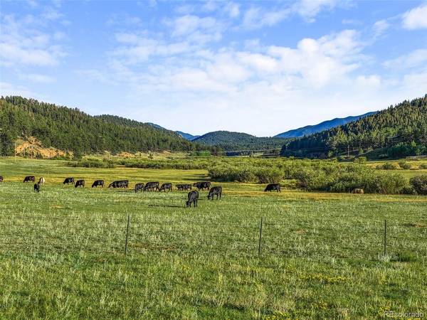 3763 County Road 43, Bailey, CO 80421