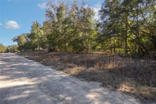SW 109TH PLACE, Dunnellon, FL 34432