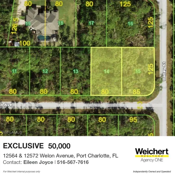 12564 E WELON AVE S, Port Charlotte, FL 33953