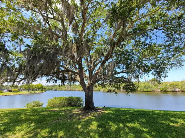 4120 STRATFORD DR, New Port Richey, FL 34652