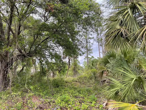 Lot 15 ANANAS RD, North Port, FL 34288