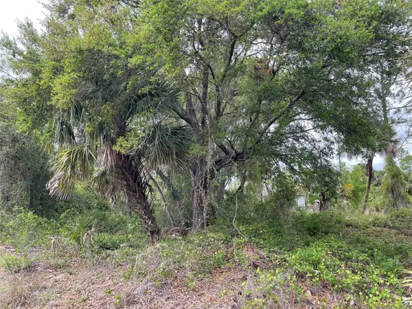 Lot 15 ANANAS RD, North Port, FL 34288
