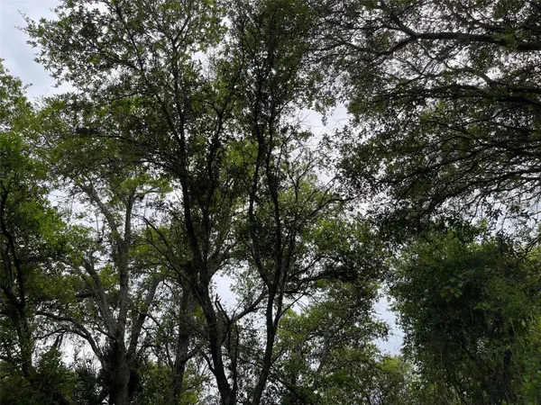Lot 15 ANANAS RD, North Port, FL 34288