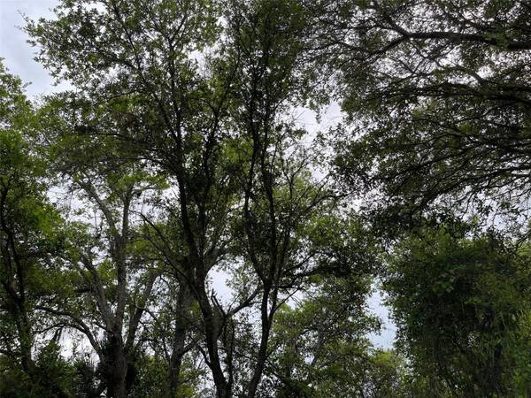 Lot 15 ANANAS RD, North Port, FL 34288