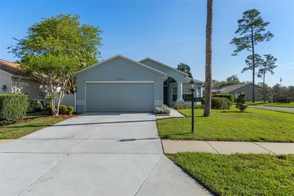 18236 WEBSTER GROVE DR, Hudson, FL 34667