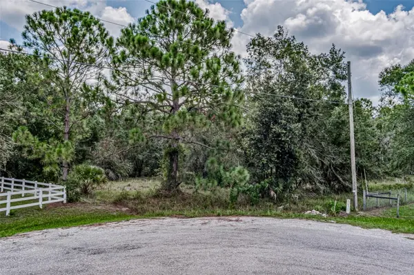 401 INDIAN MEADOW CT, Wimauma, FL 33598