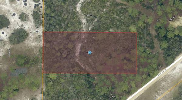 28-17-28-0004-000-03100 BUCK RUN DR, Paisley, FL 32767